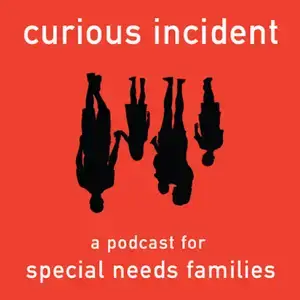 New York Special Education Attorney Adam Dayan Podcast